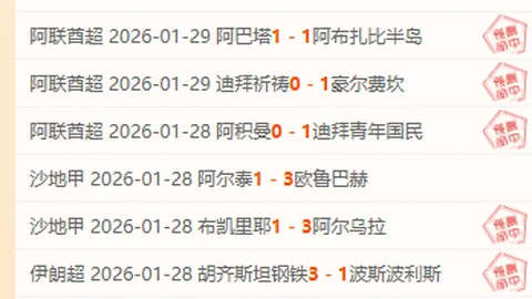 “韩雨王智宇组合亚冬会小组领跑，成功挺进四强”